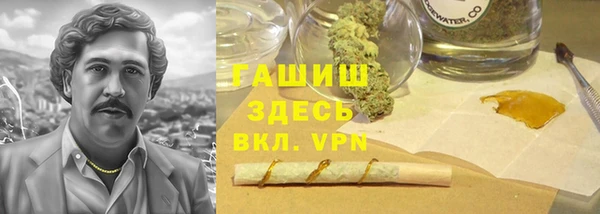 стаф Новодвинск