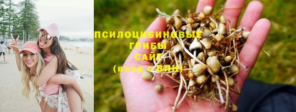 дурь Надым