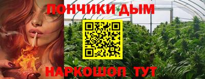 гидропоника Гусь-Хрустальный