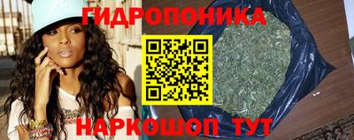 стаф Волгодонск