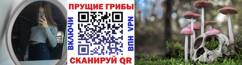 Галлюциногенные грибы мицелий  darknet формула  Кизляр  купить наркоту 