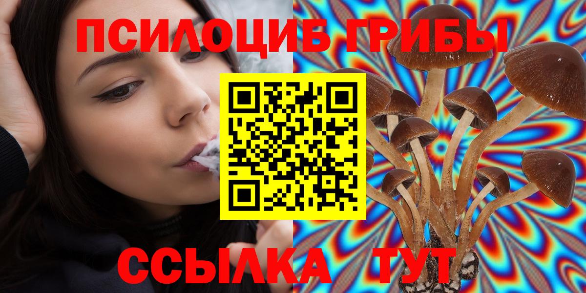 дарнет шоп  Кизляр  Галлюциногенные грибы ЛСД 