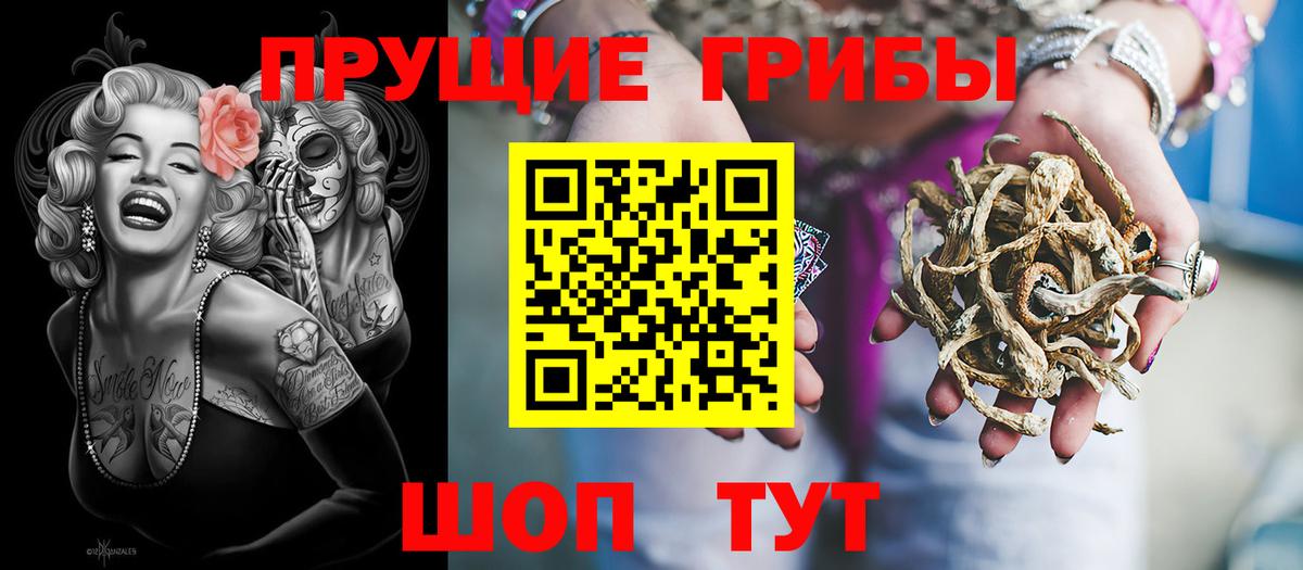 Кизляр  Псилоцибиновые грибы GOLDEN TEACHER  Галлюциногенные грибы Cubensis  Вход с VPN 