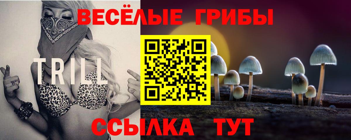 Псилоцибиновые грибы GOLDEN TEACHER Кизляр